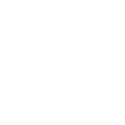 First Response Pregnancy